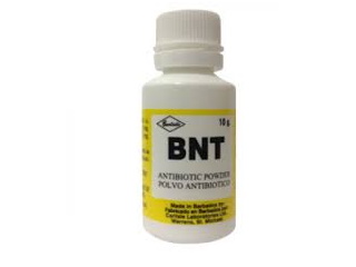 Bnt Powder 10G