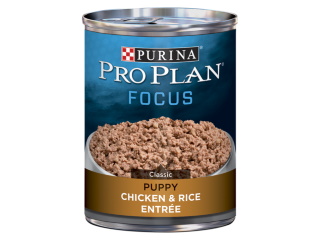 Dog Food Can Purina Pro Plan Puppy Chicken & Rice 13oz