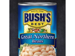 Bush Great Northern Beans 16oz