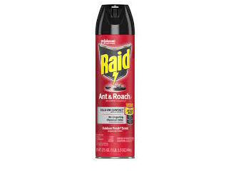 Insecticide Raid Ant & Roach 496g