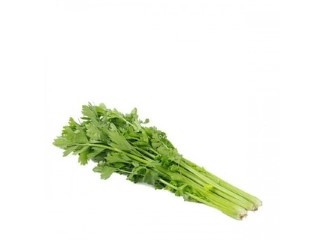 Herbs/Seasoning Celery Local/ Parcel