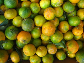 Oranges (Seasonal) /Ea