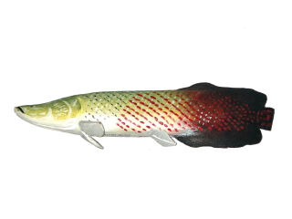 Fish Carving Arapaima 6-8"
