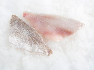 Fish Wild Grey Snapper Fillet 6-8oz /kg