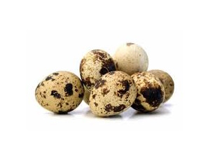 Canji Farms Quail Eggs 30 pc/tray. - Click Image to Close