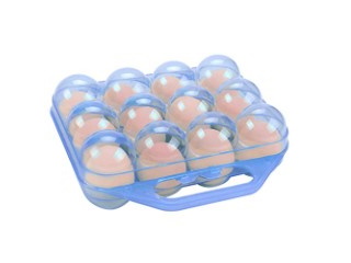 Egg Carrier for 12 eggs