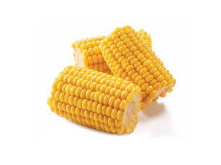 Frozen Corn on the Cob 3" 96 pieces
