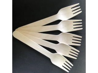 Disposable Party Time Cutlery Fork