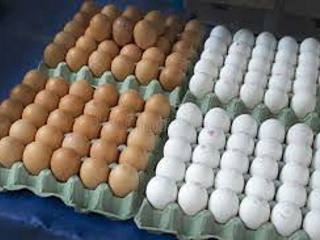 Eggs - Large Tray- 30 pcs