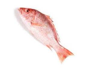 Fish Red Snapper Whole/ kg