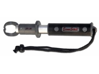 Scale Fish EconoScale 25lb