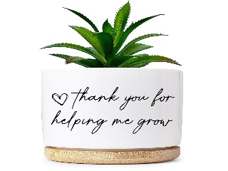 Planter Small / succulent pot Thank You for Helping Sketch