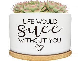 Planter Small / succulent pot LIFE WOULD succ WITHOUT YOU