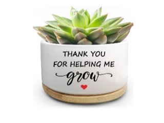 Planter Small / succulent pot Thank You for Helping Red H