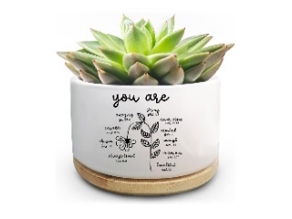 Planter Small / succulent pot You are