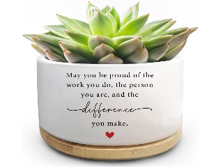 Small Planter/ succulent pot May you be proud of the work you do