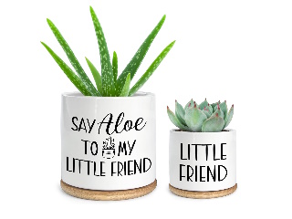 Planter Small / succulent pot Say Aloe to My Little Friend